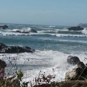 Meet your Posher, Terri